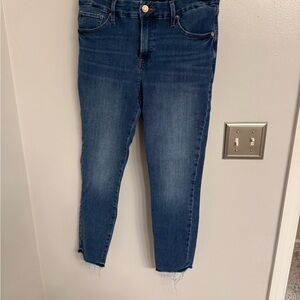 Express Dark Blue Ankle Jeans
